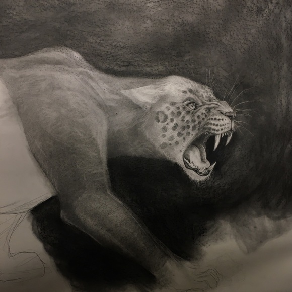 Meet your Posher, Kalynn - Picture 4 of 4